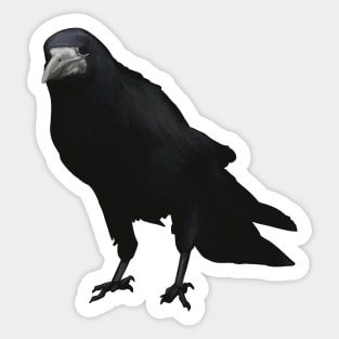 The disapproving Rook Sticker